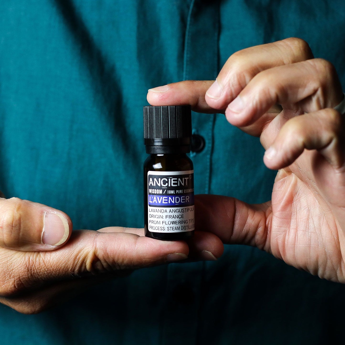 Conjunto de óleos essenciais de lavanda, árvore do chá e alecrim de 10 ml cada