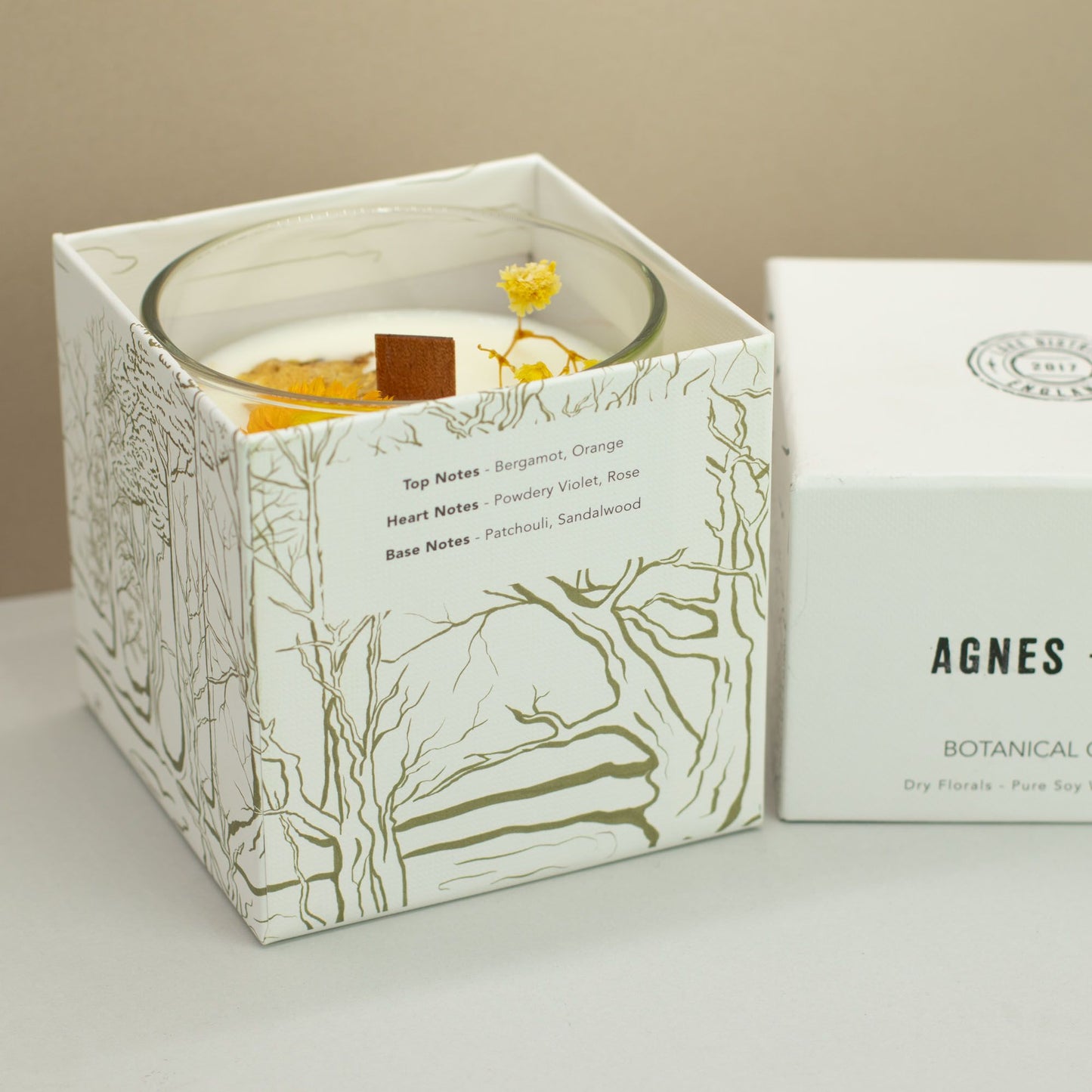 Agnes + Cat Vela de Cera de Soja Botânica - Rydal Oudh