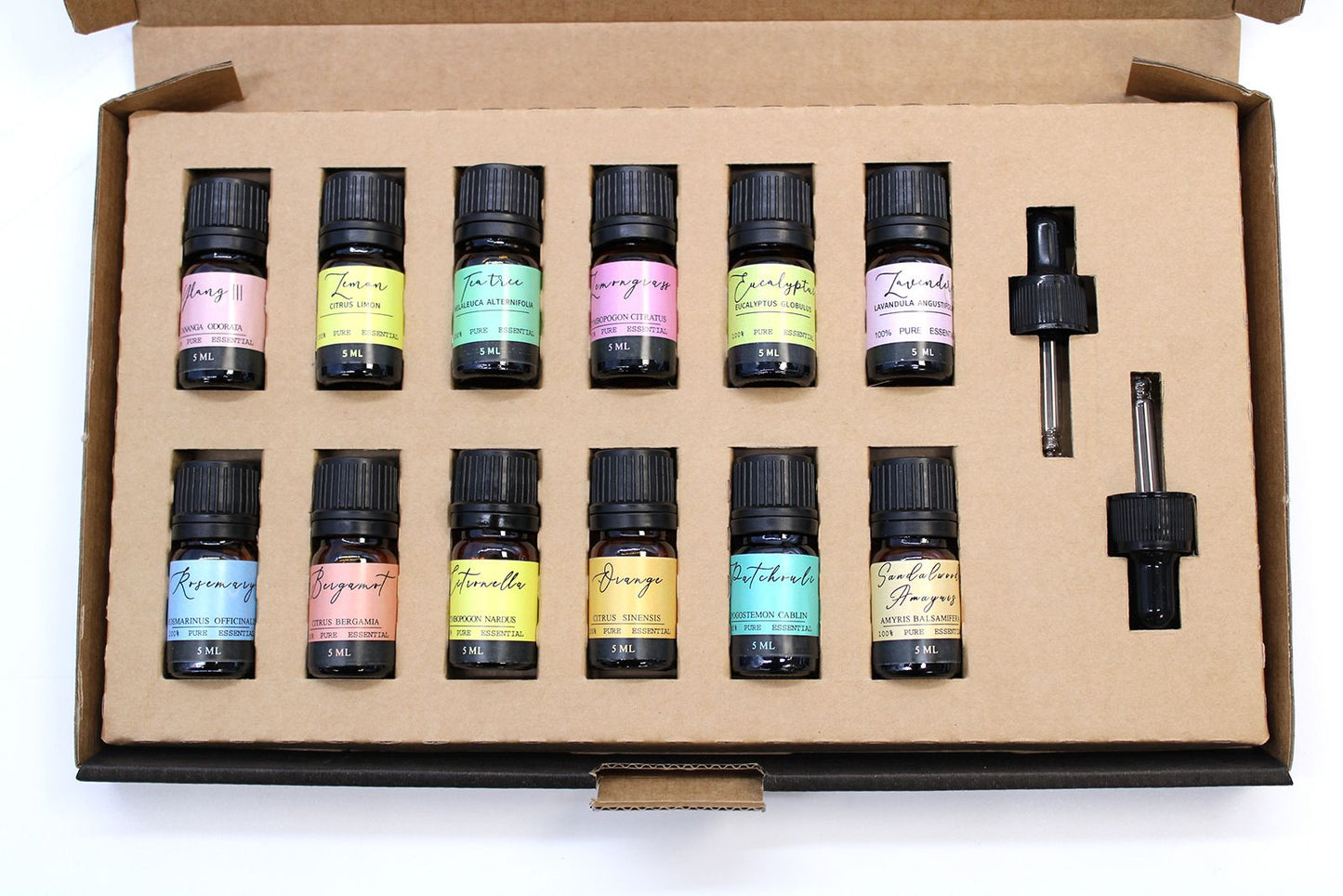 Conjunto de Óleos Essenciais de Aromaterapia - Os 12 Principais