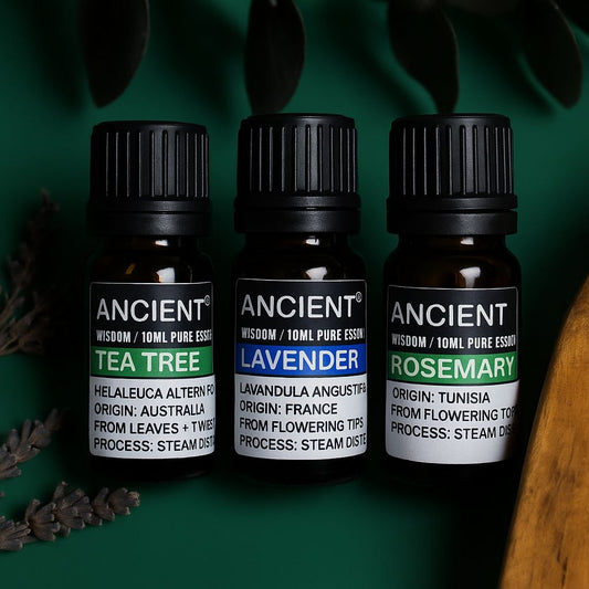 Conjunto de óleos essenciais de lavanda, árvore do chá e alecrim de 10 ml cada